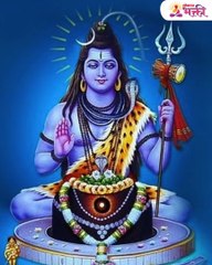 घरा‍त साप येणं शुभ की अशुभ? पैशांचा काय संबंध जाणून घ्या NEW