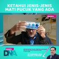 [ SHORTS ] Ketahui Jenis-Jenis Mati Pucuk Yang Ada