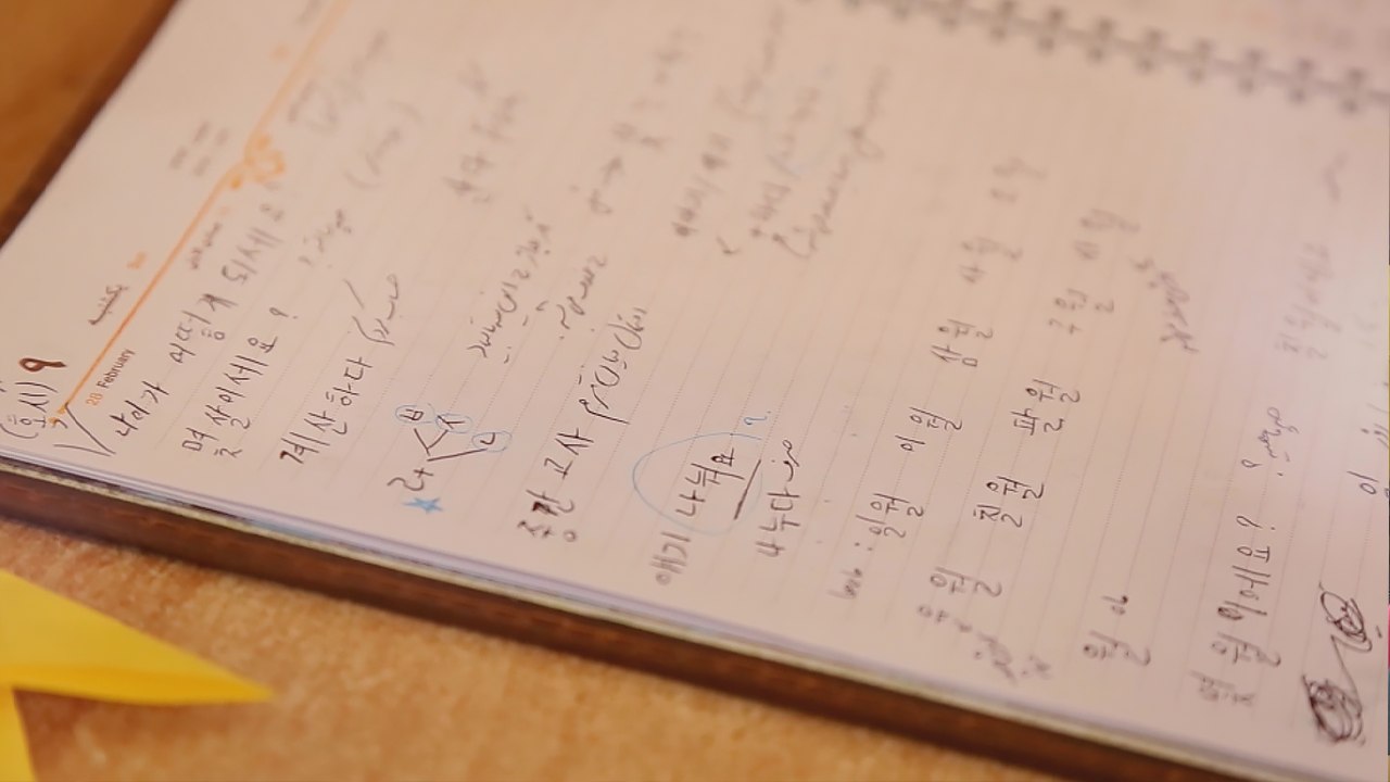 [재외동포 소식] 세종학당재단, 2023 신규 세종학당 운영 단체 모집 / YTN