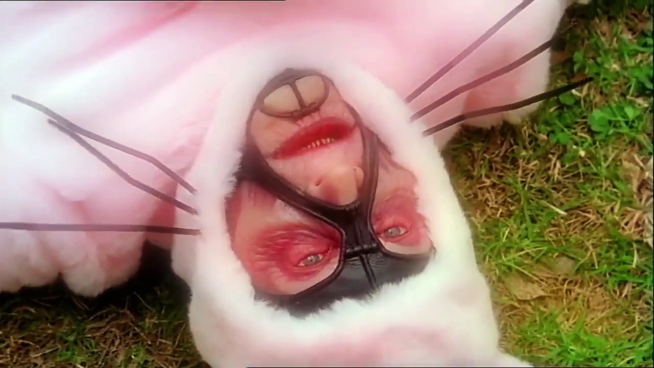 Farscape - Se4 - Ep22 HD Watch