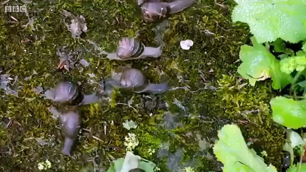 James Martin - Home Comforts - Se2 - Ep10 HD Watch