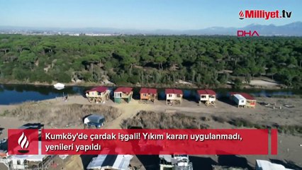 Kumköy'de çardak işgali! Yıkım kararı uygulanmadı, yenileri yapıldı