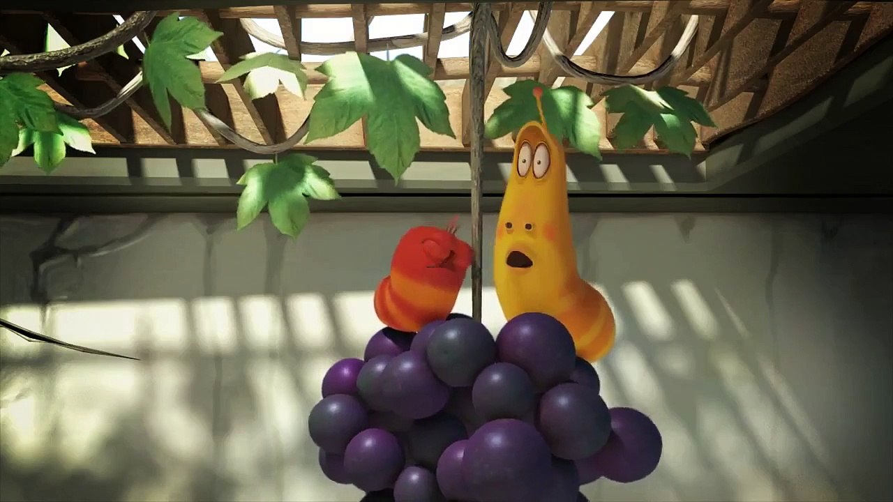 Larva - Volume 5 - Ep07 - Grape HD Watch