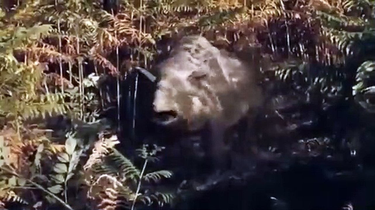 Primeval - Se3 - Ep09 HD Watch