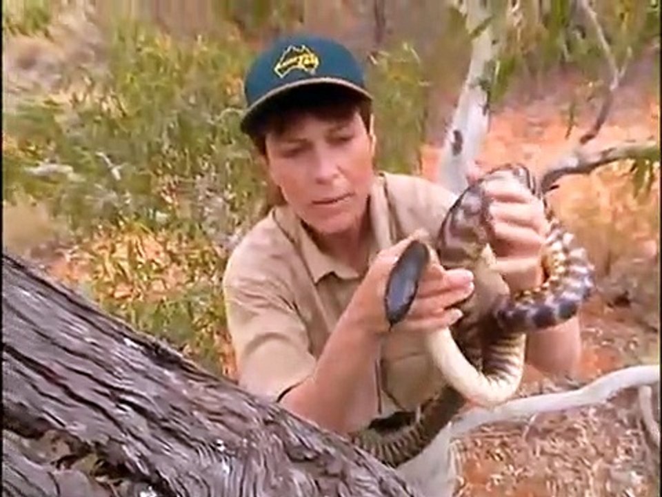 Crocodile Hunter - Ep07 HD Watch