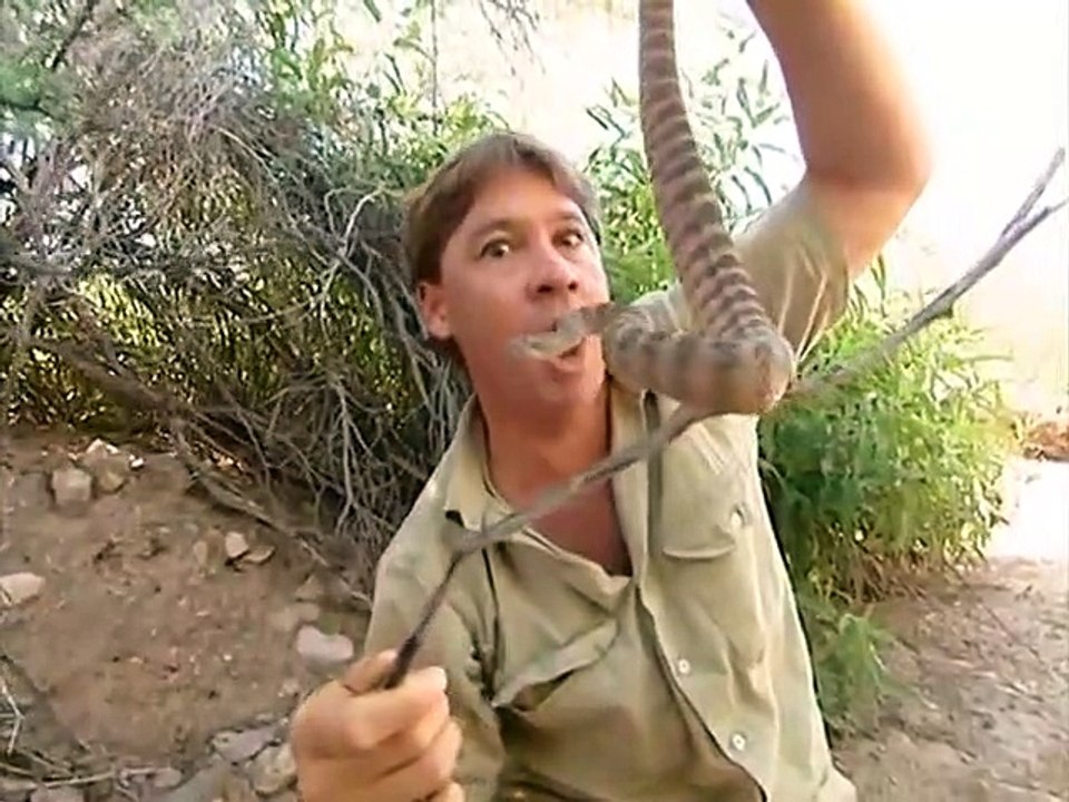 Crocodile Hunter - Ep09 HD Watch
