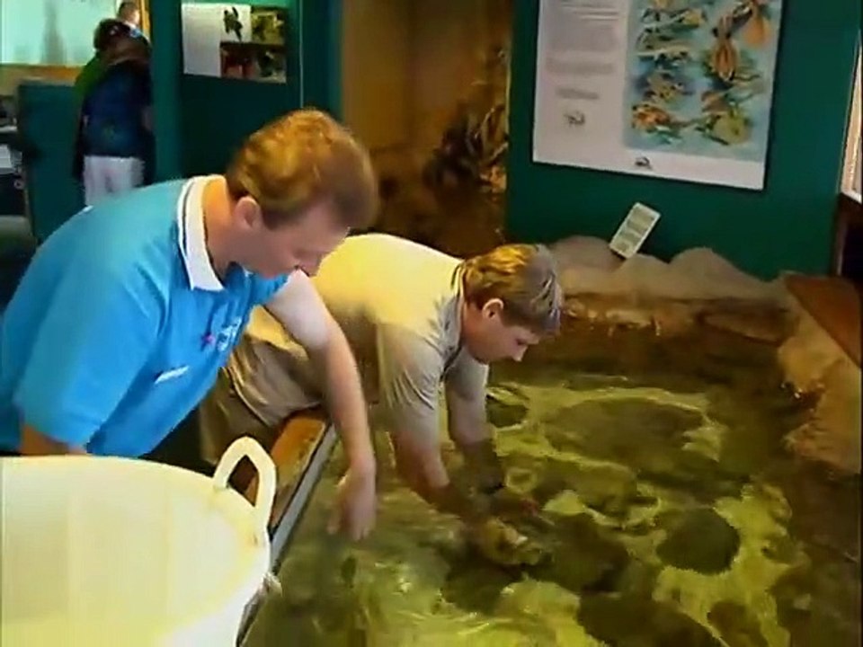 Crocodile Hunter - Ep14 HD Watch