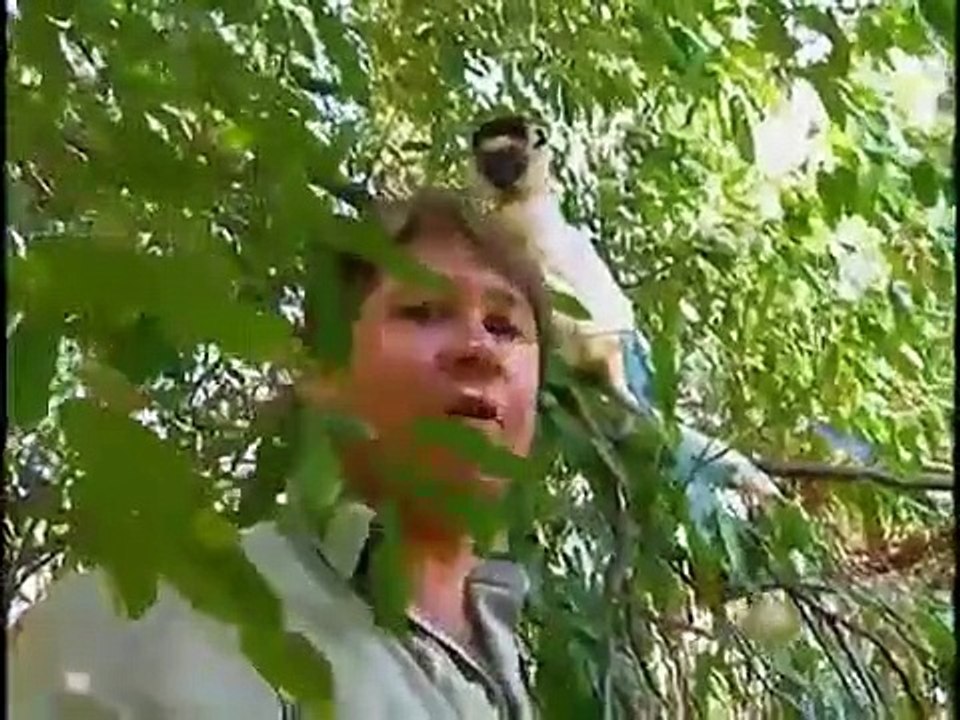 Crocodile Hunter - Ep19 HD Watch