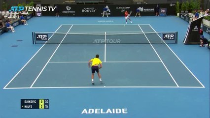 Djokovic Battles Hard Against Halys to Reach Adelaide Quarterfinals 🎾