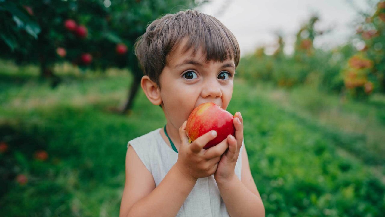 Baby und Kleinkind vegan ernähren: Gesund oder gefährlich?