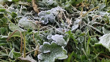 राजस्थान के इस शहर में कुदरत ने किया बर्फीला श्रृंगार, आपने नहीं देखा क्या वीडियो...