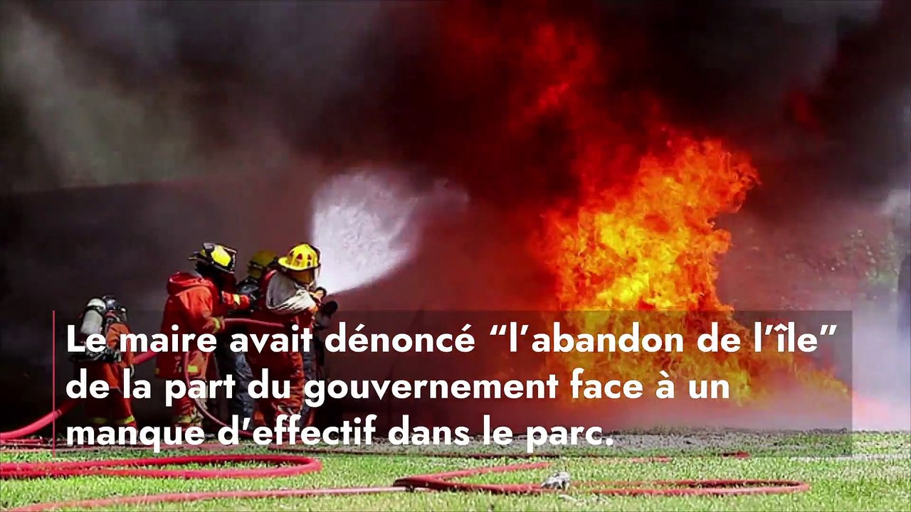 Chili : des statues moais de l’Île de Pâques endommagées par un incendie