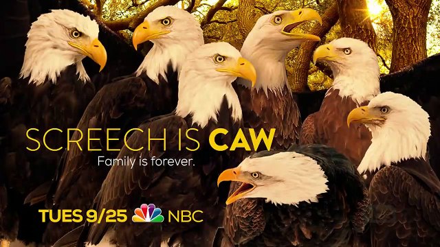 Conan - Se8 - Ep110 - Norm Macdonald, Judy Greer, Nick Nemeroff HD Watch