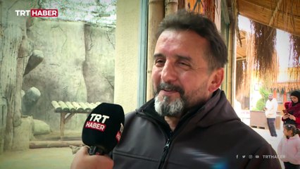 Evlatlık aslan ile 1,5 yıl sonra ilk buluşma