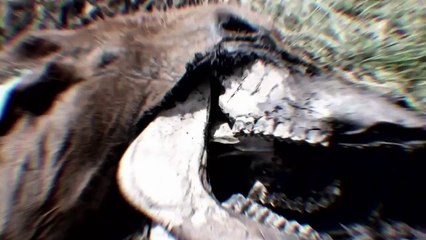 Alien Highway - Se1 - Ep07 - SoCal Clusters HD Watch