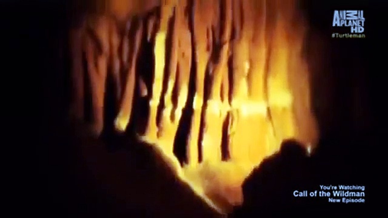 Call of the Wildman - Se3 - Ep12 HD Watch