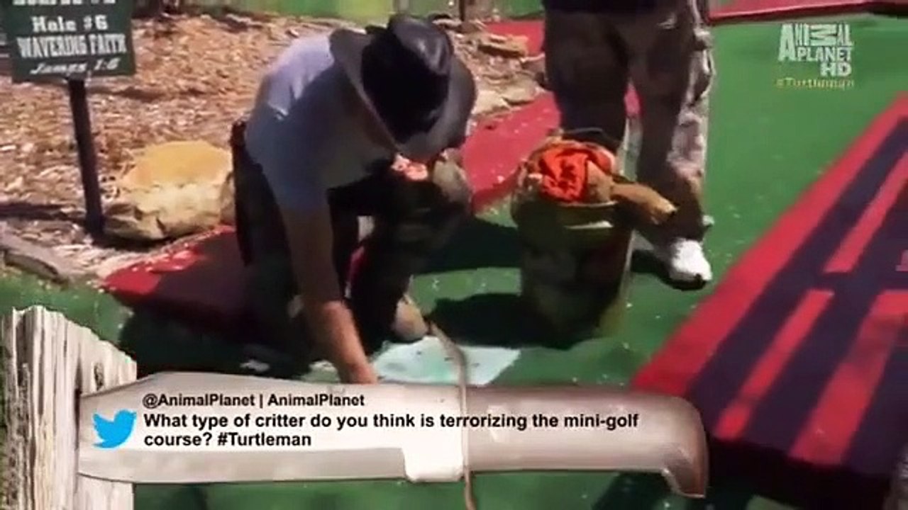 Call of the Wildman - Se3 - Ep19 HD Watch