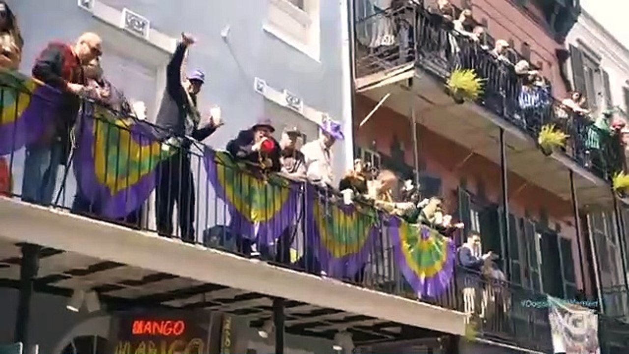 Dog's Most Wanted - Se1 - Ep07 - Mardi gras manhunt HD Watch