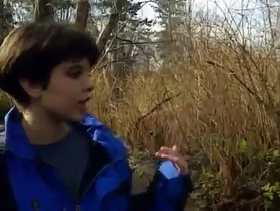 Bill Nye, the Science Guy - Se3 - Ep17 HD Watch