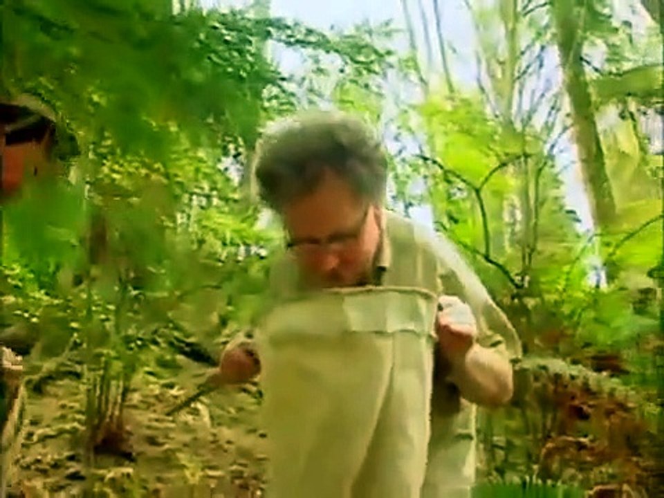 Bill Nye, the Science Guy - Se4 - Ep06 HD Watch