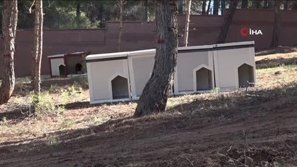 Türkiye'nin en büyük hayvan rehabilitasyon merkezi Gaziantep'e kuruldu