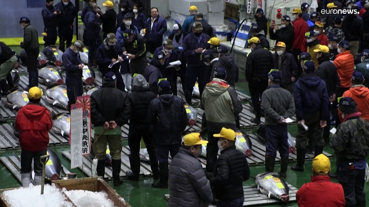 شاهد: بيع سمكة تونة بـ270 ألف دولار أمريكي في م...