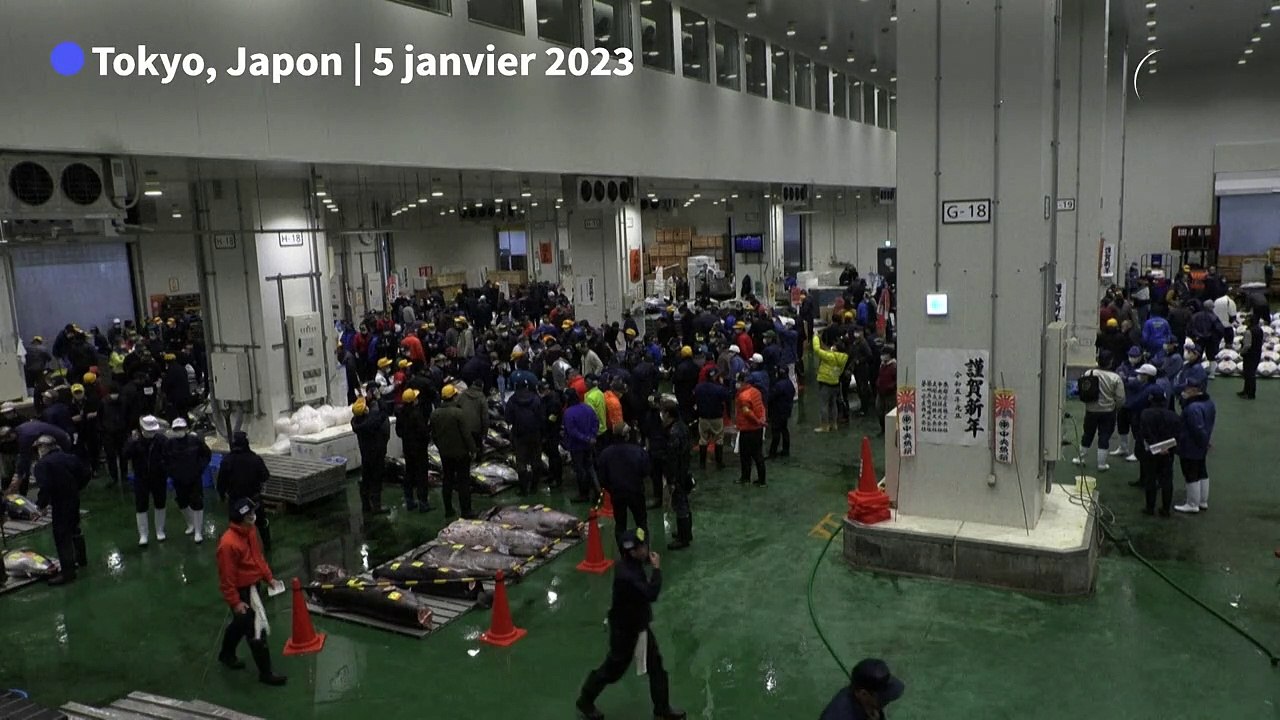 Un thon vendu aux enchères pour 257.000 euros à Tokyo