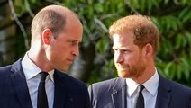 Prince Harry details alleged physical attack by brother William in new book