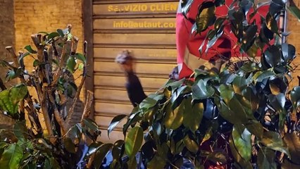 A Palermo con i senza dimora i giovani del Corpo Europeo di Solidarietà