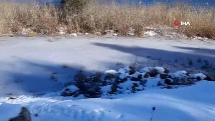Abant Gölü'nün kıyıları buz tuttu