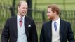Rei Charles pediu aos príncipes William e Harry que 'não tornassem seus últimos anos uma miséria'