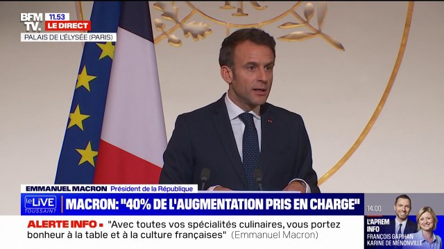 Emmanuel Macron: Beaucoup de nos artisans ont autre chose à faire que d'aller chercher sur Internet des tableaux incompréhensibles