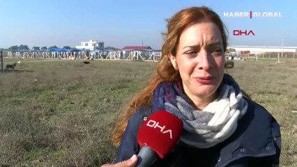 İzmir'de iki kadının kurduğu 'merhamet bahçesi' şiddet gören hayvanların yuvası oldu