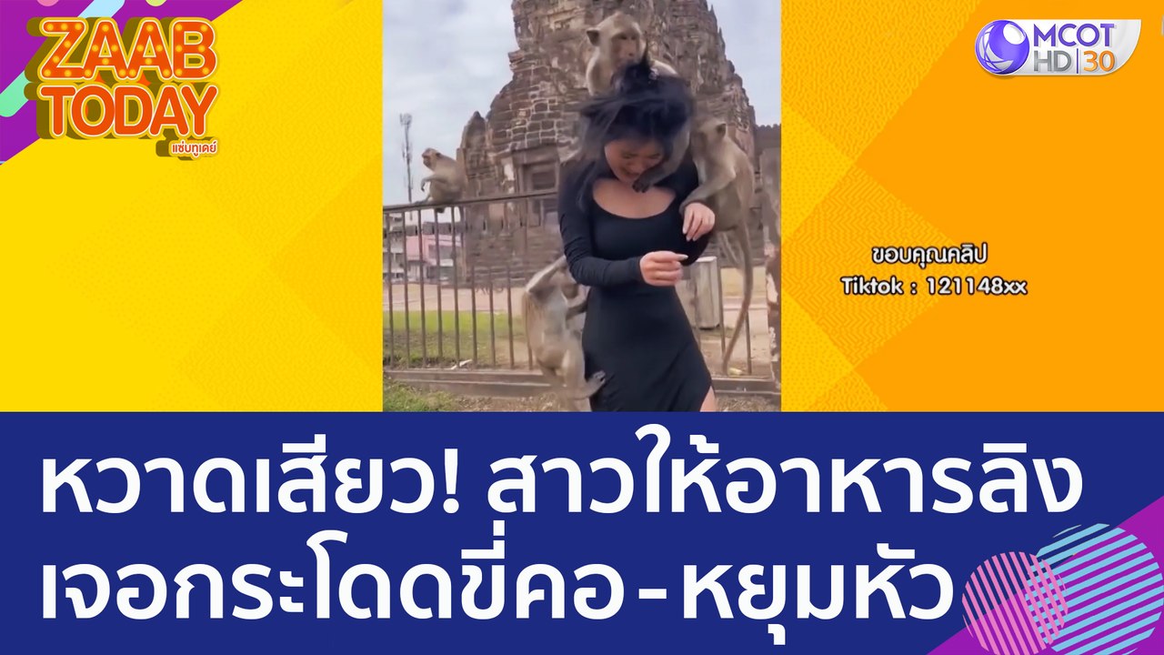 หวาดเสียว! สาวให้อาหารลิง ก่อนเจอกระโดดขี่คอ - หยุมหัว (5 ม.ค. 66) แซ่บทูเดย์