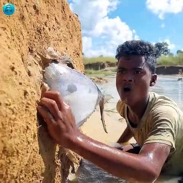 Unbelievable Technique Traditional Sea Fish Fishing In River Dry Hill Big Stuck Fish Catching By Hand #fish