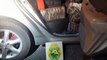 BPFRON apreende carro carregado com drogas em São Miguel do Iguaçu