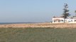 Insólita imagen de una playa de Huelva plagada de hierba