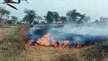 Collector's warning also ineffective, stubble burning openly in the fields