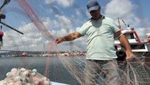 İstanbul Boğazı'nda yaşanan denizanası yoğunluğuna uzman yorumu: Mevsim normallerinin üzerinde yaşanan sıcaklıklar en büyük etken