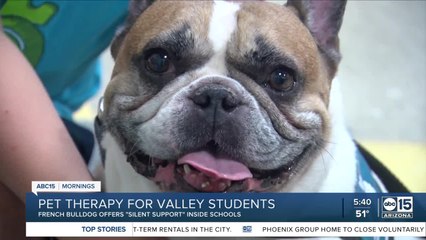 Pawsitive Friendships pet therapy helps kids learn, grow and overcome fears at school