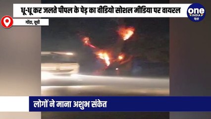 धू-धू कर जलते पीपल के पेड़ का वीडियो सोशल मीडिया पर वायरल, लोगों ने माना अशुभ संकेत