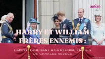 Harry et William frères ennemis : l'appel touchant à la réconciliation de Charles révélé