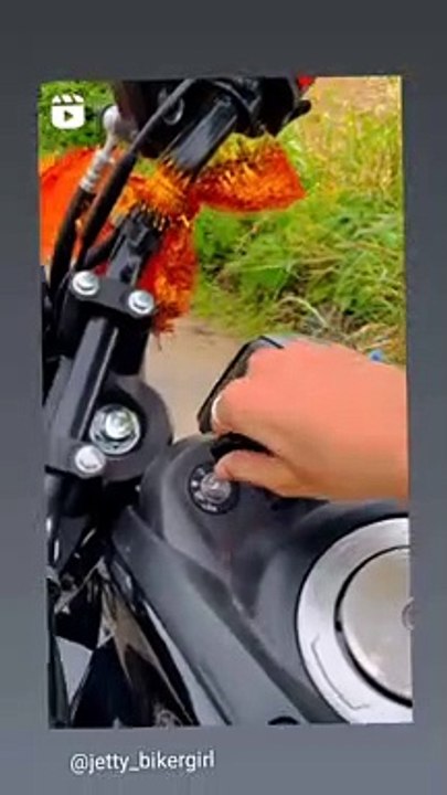 wike video #wikevideo How to wike