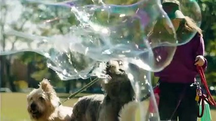 High Maintenance - saison 1 Bande-annonce VO