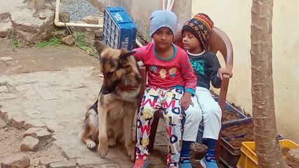 GSD with lovely kids