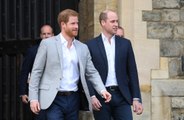 'Ele me agarrou pelo colarinho e me jogou no chão', diz Harry ao acusar William de agressão