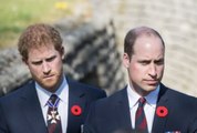 Prince Harry Said Prince William Physically Attacked Him After an Argument Over Meghan Markle