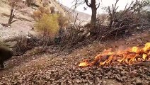 Burning Leaves of the Trees around the Village & Eating Lunch  Villagers in Iran