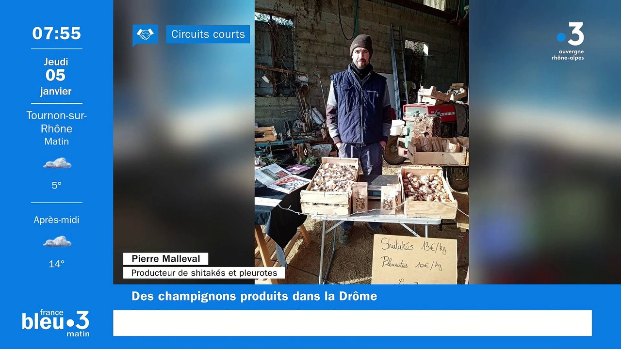 À Saint-Donat-sur-l'Herbasse, Pierre, producteur de champignons Shiitakés et pleurotes, "Les Baumes au cœur"