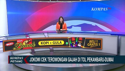 Pesan Jokowi saat Cek Terowongan Gajah di Tol Pekanbaru-Dumai